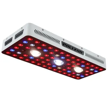 Best COB LED Grow Light for Grow Room