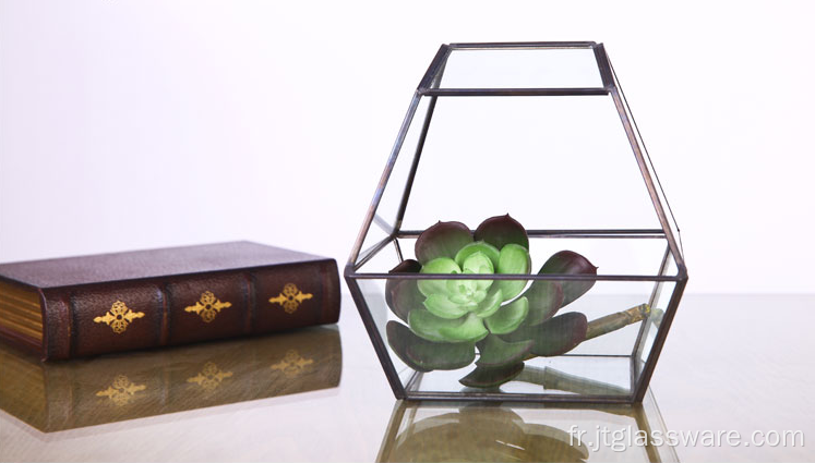 Forme Super Large Verre Terrarium Géométrique