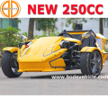 Bode chất lượng yên tâm khí Roadster Ztr Trike 250cc for Sale