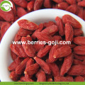 Wholesale Bulk Premium Low Pesticide Goji Berries