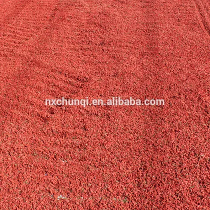 ningxia dried fruit price/wolfberry/bulk gojiberry dried fruit