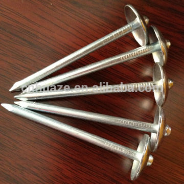 Shijiazhuang factory galvanized roofing nails,common nails