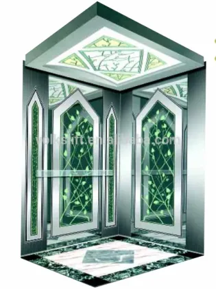 German Technology Professional Home Villa Lift/Elevator