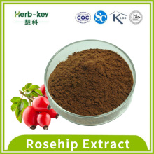 10% de blanchiment de l&#39;efficacité Rosehip Extrait Flavone
