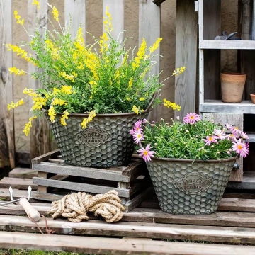 American tin meaty flowerpot