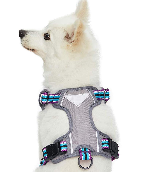 Multi-Colored Stripe Dog Harness