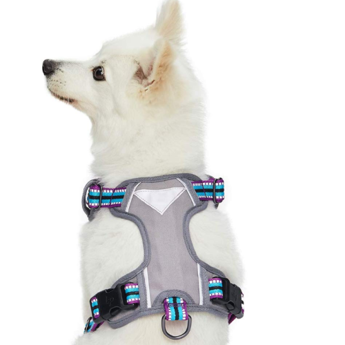 Multi-warna Stripe Dog Harness