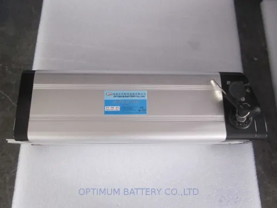 Electric Bike Lithium Batteries 24v-10ah With Charger And Aluminum Case For Electric Bikes