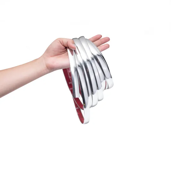 Car Styling Exterior Accessories: 50mm/40mm/20mm/15mm Door Side Body Protectors for Toyota C-HR