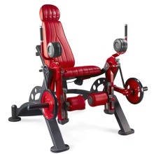 Popular High Quality Alternate leg extension