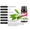 Wholesale Bitter Orange Blossom Essential Oils Wholesaler, Bulk Pure Organic Neroli Essential Oil For Aromatherapy Diffuser