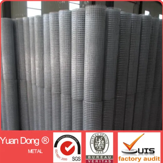 High Quality and Reasonable price Corn welded wire mesh