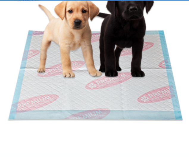 puppy pad with adhersive tape