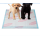 Puppy Training Pads in PE Bag 100 Count