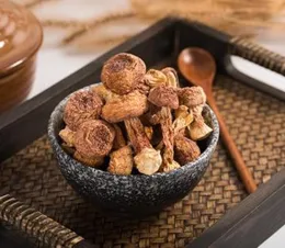 dried agaricus blazei mushrooms