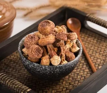 dried agaricus blazei mushrooms