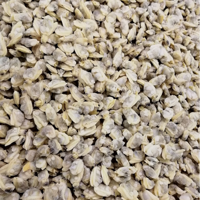 Hochwertige gefrorene gekochte kurze Hälse Muschelfleisch