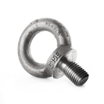 Eye Screw DIN580 M10