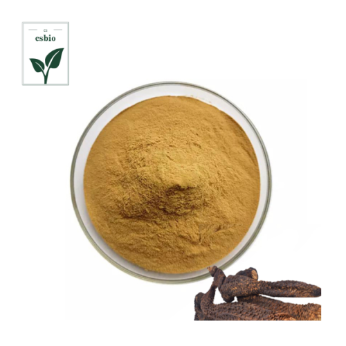 Top Quality Cistanche Deserticola Powder