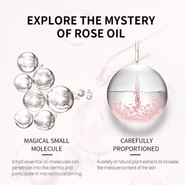 Gentle and Efficient Nourishing Skin Care Set for Oily Skin