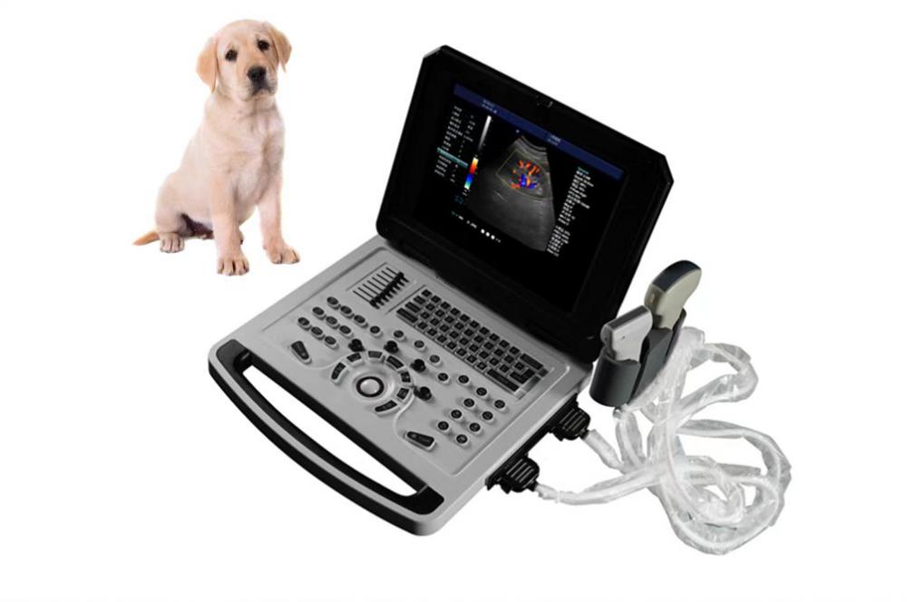 Notebook Veterinary Color Doppler Ultrasonic Machine