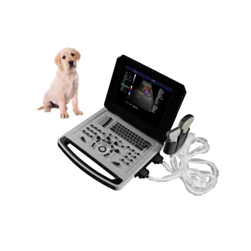 Notebook Veterinary Color Doppler Ultrasonic Machine