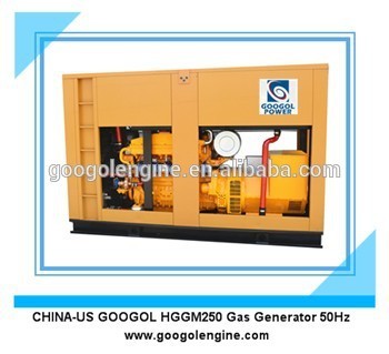 Googol Biogas Engine Generator
