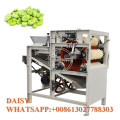 High capacity automatic wet peanut peeling machine broad bean skin removing machine