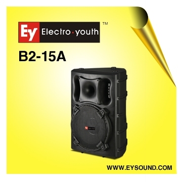 B2-15Active speaker