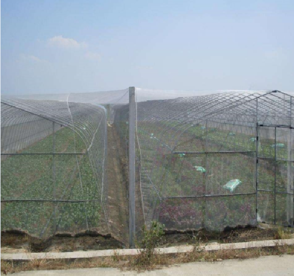 Filet à insectes de serre pour plantes légumières