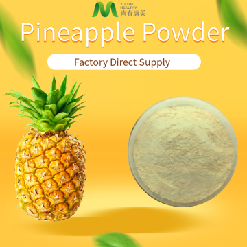 Pineapple Fruit Juice Powder Competitive Price