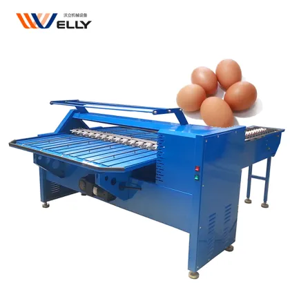 Egg Classifier Machine for Chicken Farms: Feedback-Focused Fish Egg and Duck Egg Grading & Sorting by Weight
