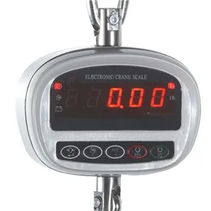 YB-GSE Direct Viewing Crane Scale