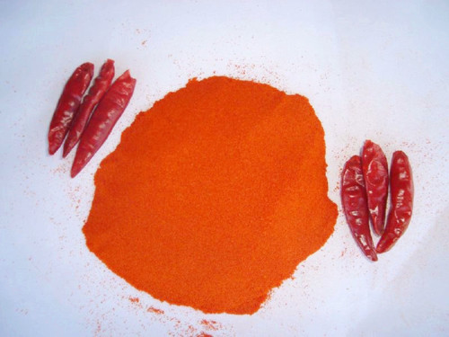 poudre de paprika chaotian déshydratée