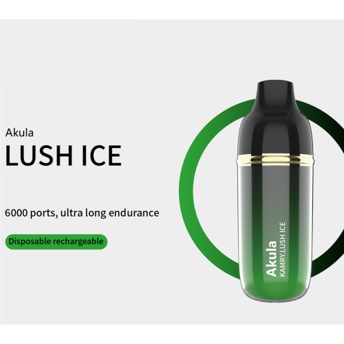 Rechargeble Kamry Akula 6000 Vape descartável