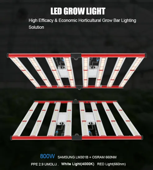 800W LED Plant Grow Light Sulight Full Spectrum