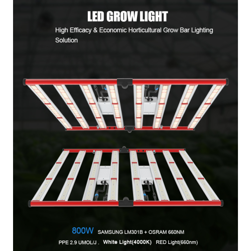 800W LED Plant Grow Light Sulight Full Spectrum
