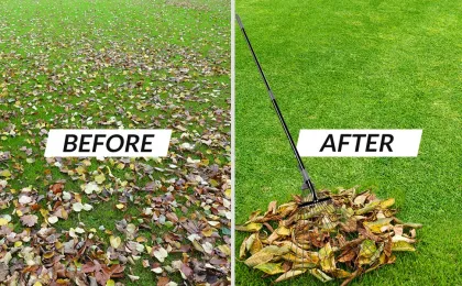 Adjustable Mini Bamboo Rake with 15 Teeth for Zen Gardening