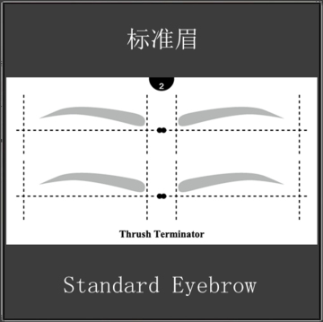 Beginner Makeup tools private label cosmetics eyebrow kit Makeup Plastic Art Eyebrow Shape Stencil Tool