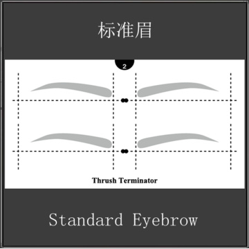 Beginner Makeup tools private label cosmetics eyebrow kit Makeup Plastic Art Eyebrow Shape Stencil Tool