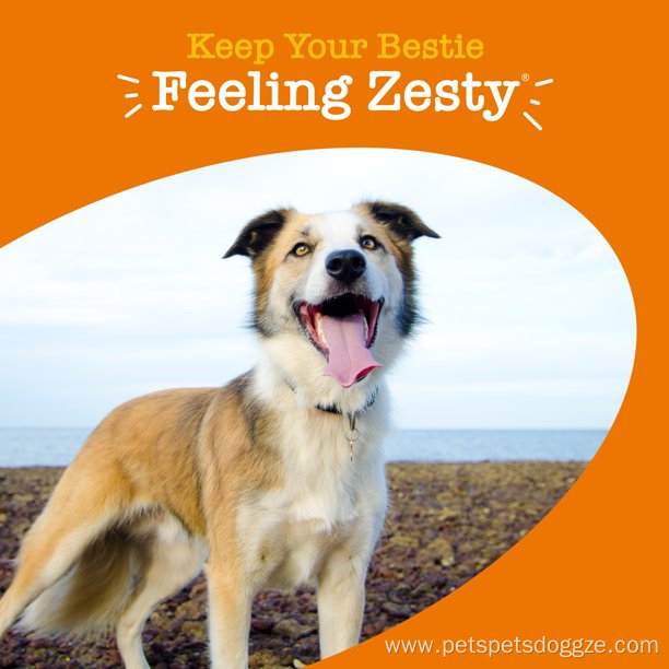 Zesty Multifunctional Soft Chews for Dogs Chicken Flavor