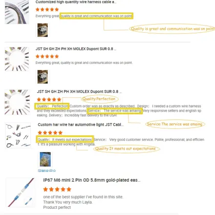 Copper PVC JST Auto Electrical Wire Harness