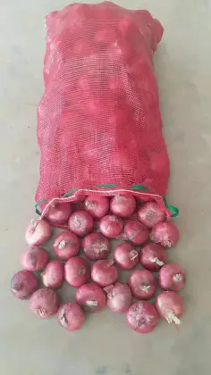 Health Foods for Fresh Onion Red