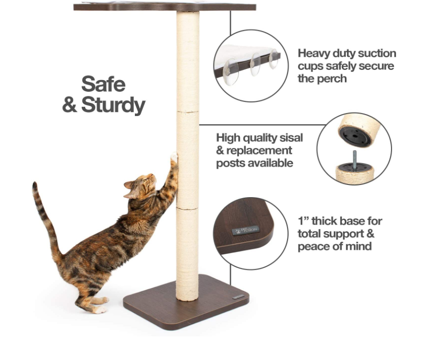 Kitty Scratching Posts