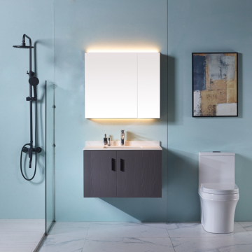 Grey Wall-Mounted Mirrored Vanity Combo Shower Bathroom Cabinet - Latest Design
