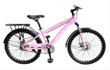 Black Popular /MTB/Bicycle/ 20" for Student