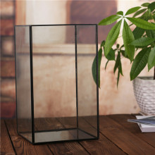 Sukkulente Pflanzgefäß Glaskasten Terrarium