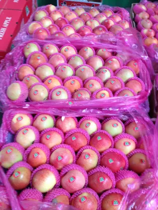 2018 new season summer apple green apple on sale red gala apple price