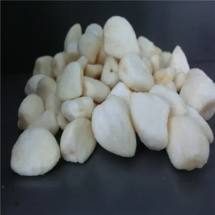 21 century best selling vf garlic cloves