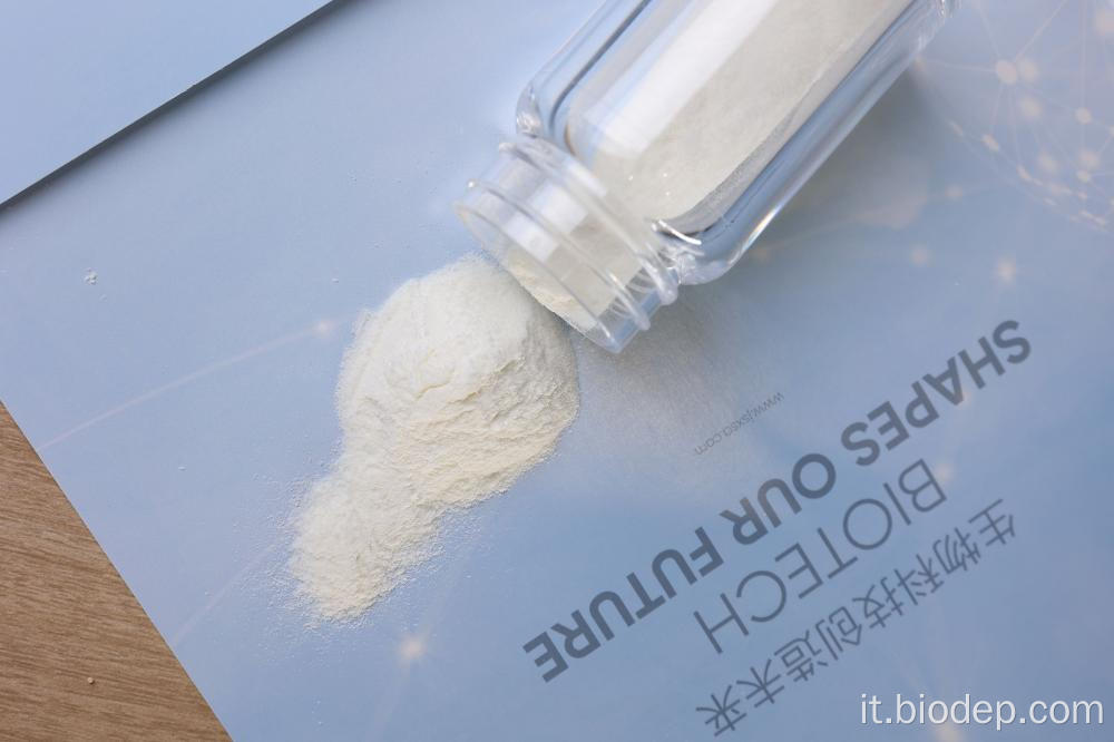 100 miliardi di probiotici AFU/G in polvere Akkermansia Mucciniphila